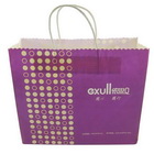 Custom Printed Paper Bag with Your brand